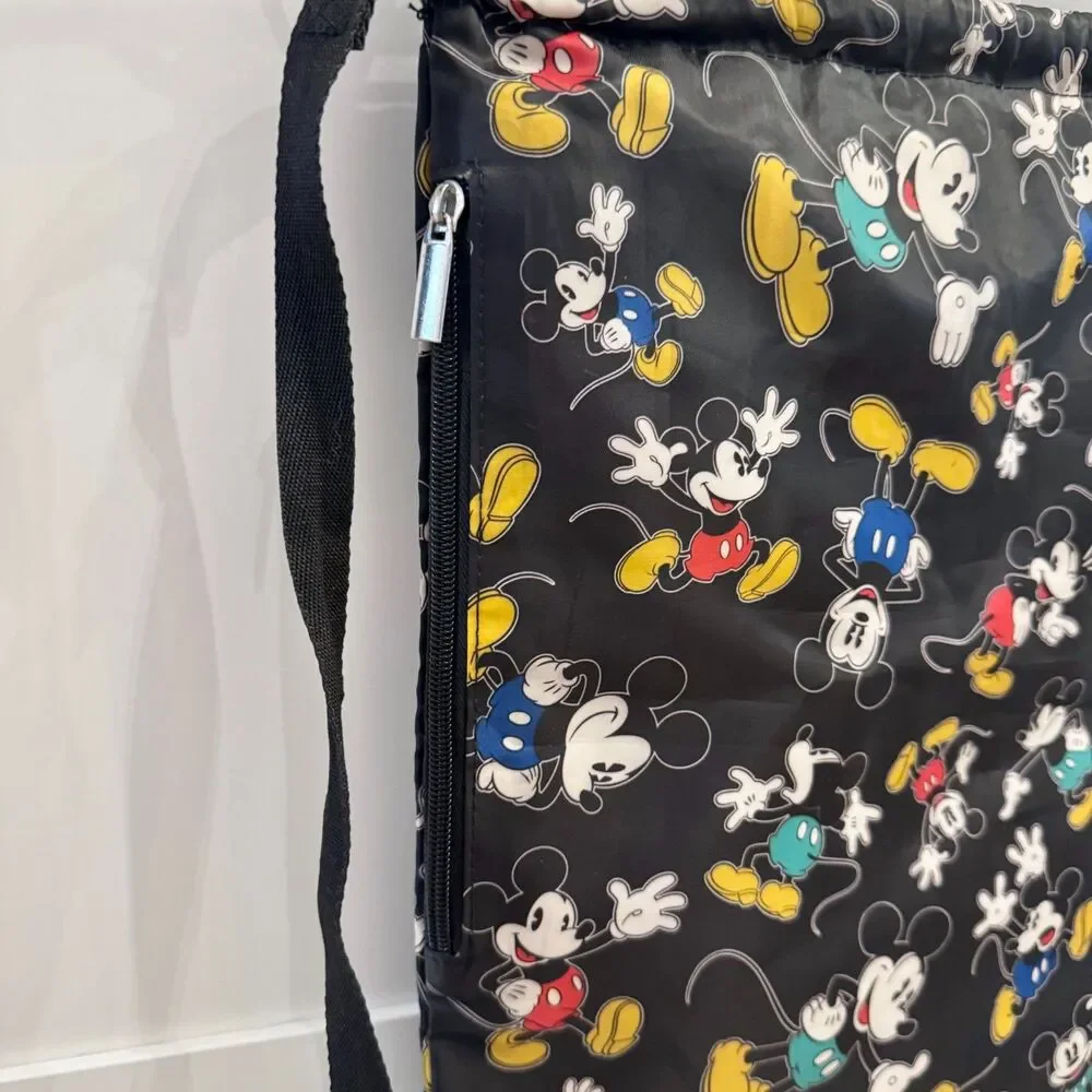 Disney authentic parks
